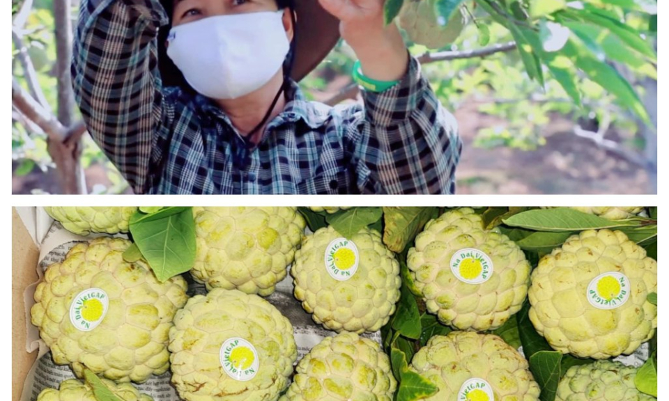 Đông Triều đẩy mạnh chuyển đổi số nông nghiệp nông thôn