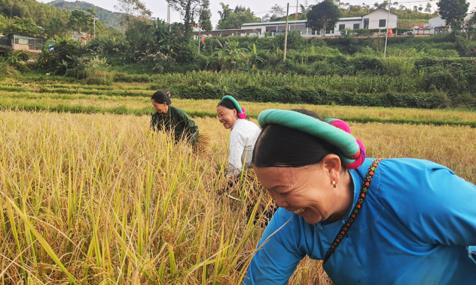 Nâng cao chất lượng đời sống nhân dân vùng biên giới Bình Liêu