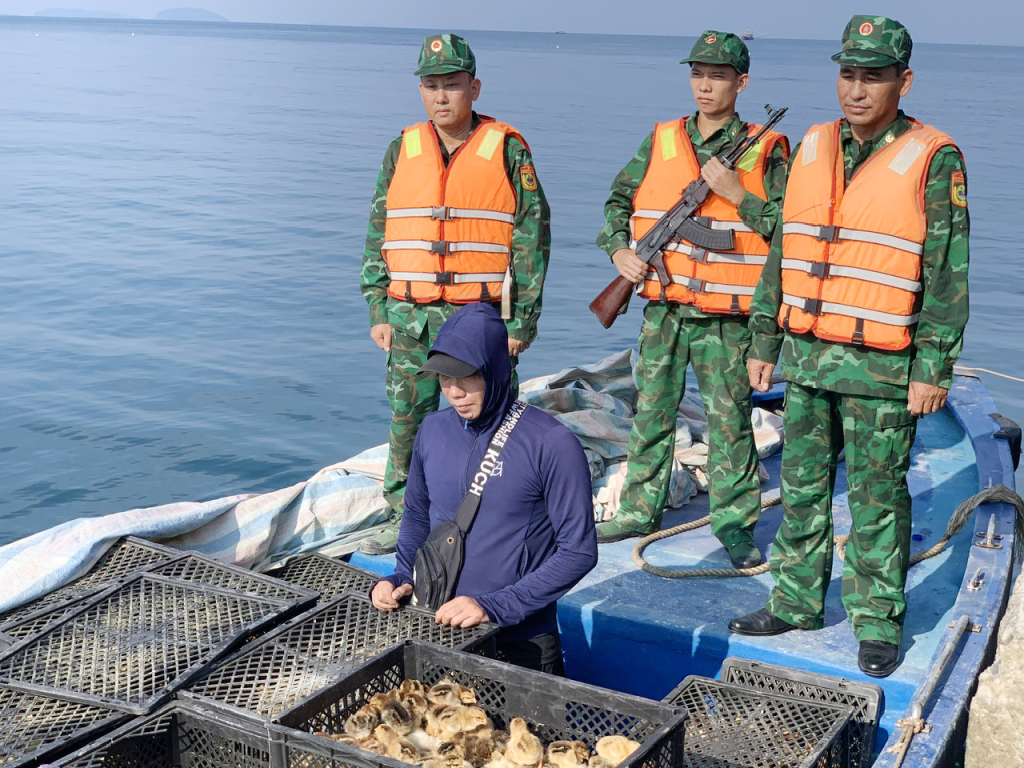 Đồn BP đảo Trần bắt giữ đối tượng vận chuyển trái phép 15.000 con gia cầm giống và 5.000 quả trứng gà, ngày 5/9/2023. (Ảnh đơn vị cung cấp) 