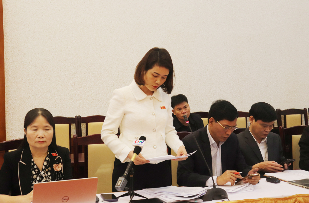 Đại biểu Nguyễn Thị Thúy Hằng, Chủ tịch Hội LHPN TP Hạ Long, tổ Hạ Long phát biểu ý kiến tham gia tại tổ.