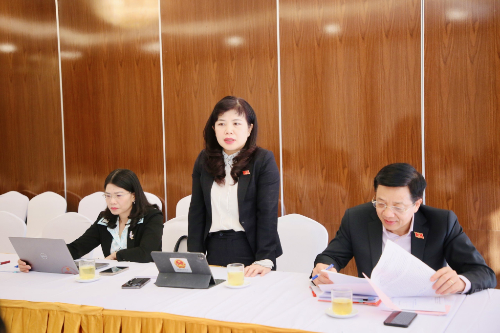 Đại biểu Nguyễn Thị Thu Hà, Phó Trưởng đoàn ĐBQH tỉnh, Tổ Đại biểu Đầm Hà - Hải Hà, phát biểu thảo luận tại tổ.