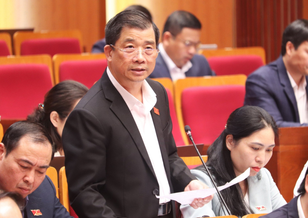 Đại biểu Hà Hải Dương Tổ đại biểu huyện Tiên Yên- Bình Liêu - Ba Chẽ đóng góp ý kiến.
