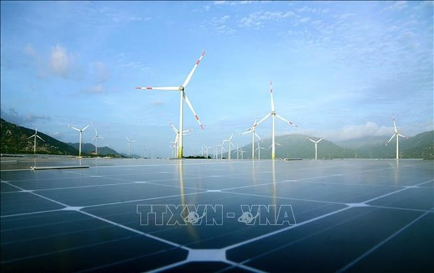 Set of criteria for green growth statistics to be applied from Dec. 15 hinh anh 1