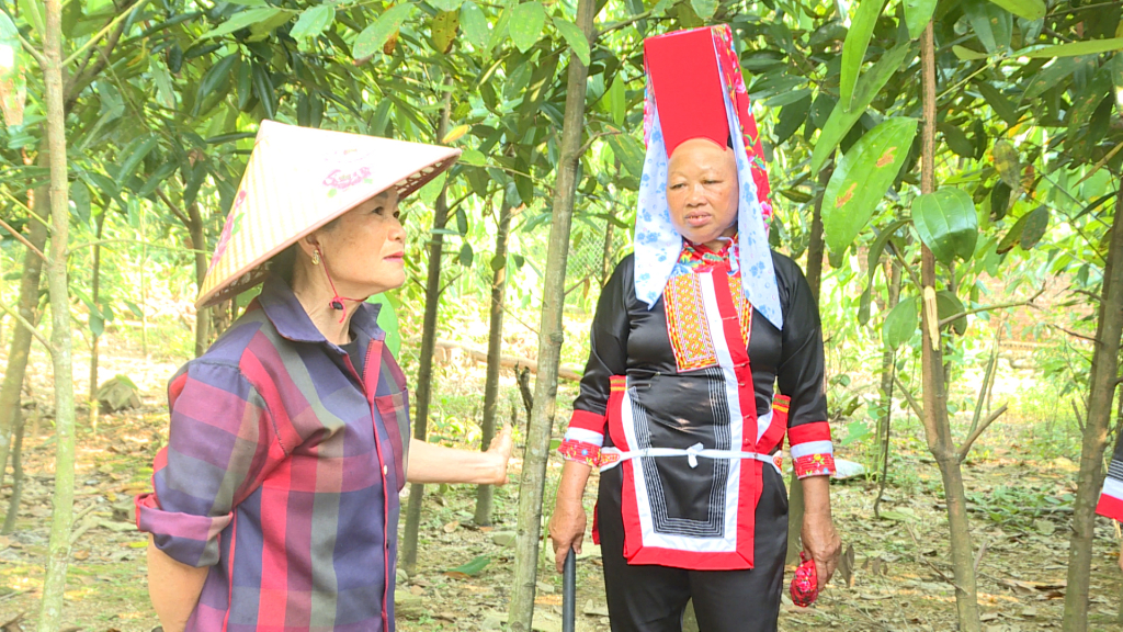 Người dân xã Quảng Sơn đang cùng nhau chia sẻ kinh nghiệm trong sản xuất