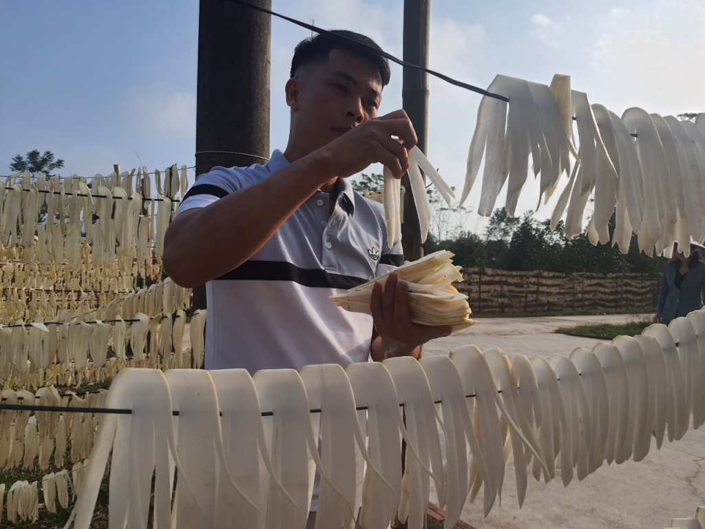 Củ cải treo dây ở xã Quảng Tân, huyện Đầm Hà. Ảnh CTV