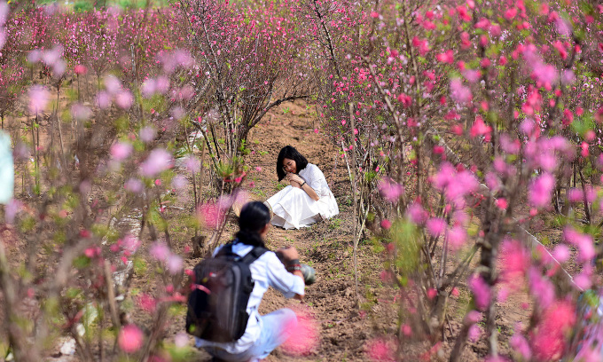 Vietnam's 17 holidays in 2024