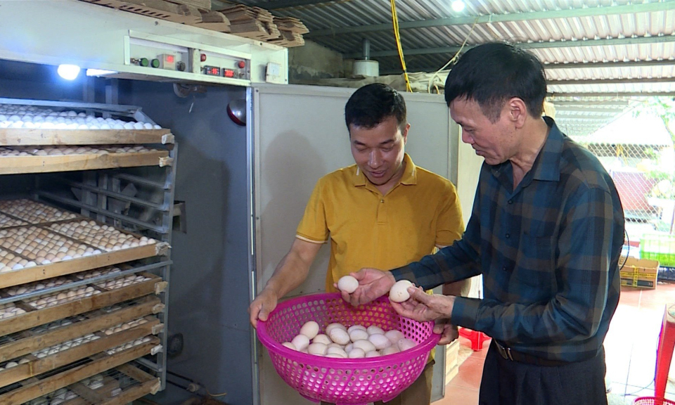Hỗ trợ nguồn lực trong xây dựng, phát triển HTX