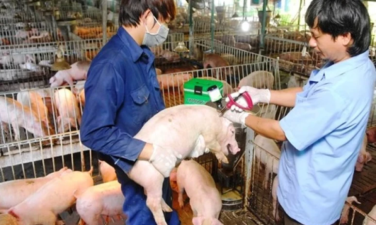 Thủ tướng yêu cầu ngăn chặn nhập lậu động vật, kiểm soát dịch bệnh chăn nuôi