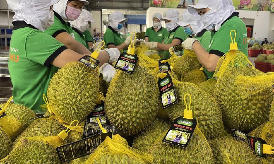 Xuất khẩu sang Trung Quốc tăng trưởng ấn tượng