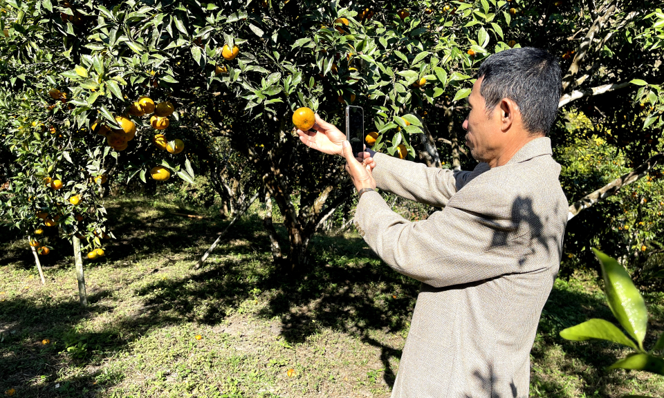 Nông thôn chuyển đổi số