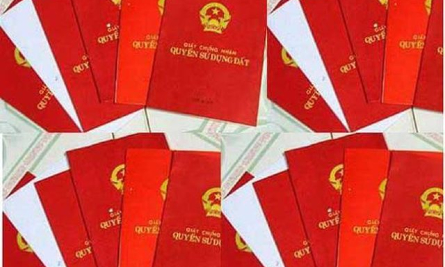 Bản tin vùng Đông Bắc ngày 10/12/2023