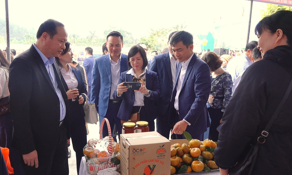 Khai mạc Tuần lễ Cam Vân Đồn năm 2023