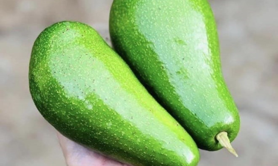 8 thực phẩm nên ăn để bảo vệ tim