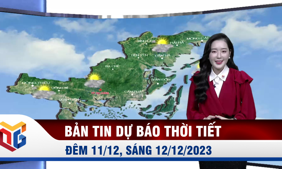 Bản tin dự báo thời tiết đêm 11/12, ngày 12/12/2023