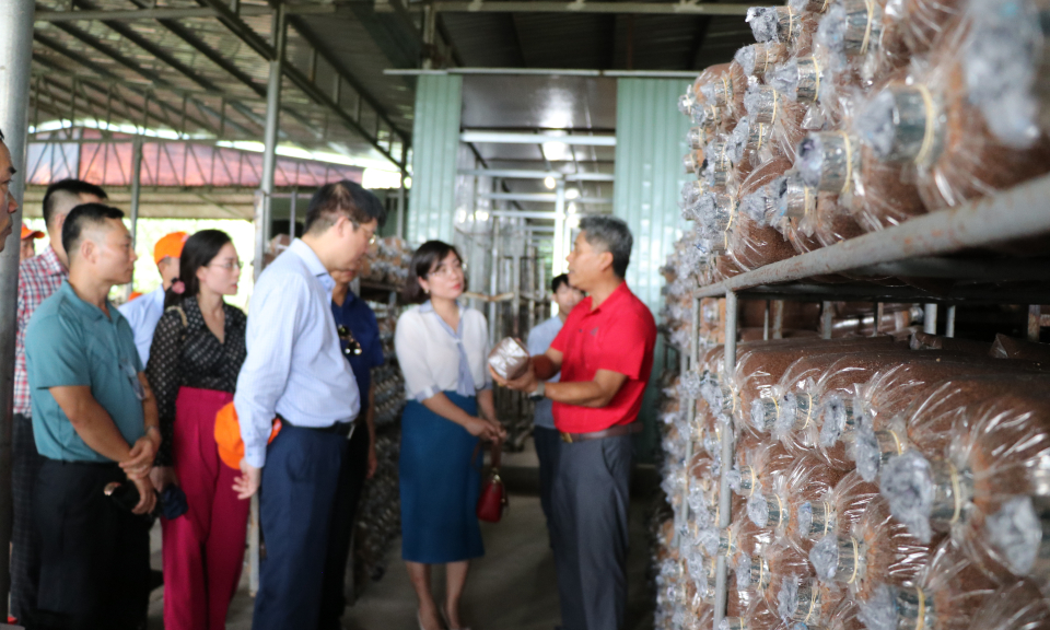 Sản xuất nông nghiệp năm 2023:  Nhiều điểm nhấn ấn tượng