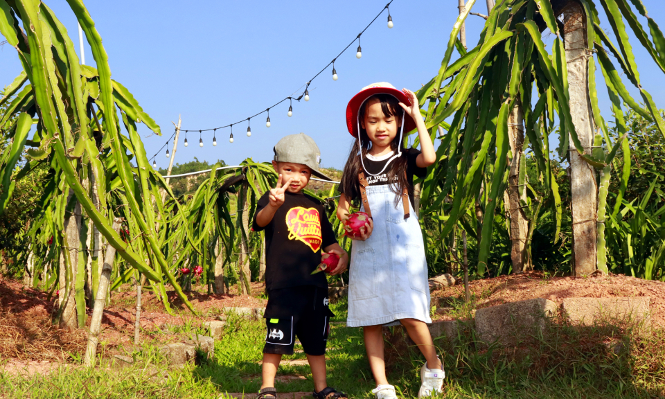 Về nông thôn "đổi gió" 