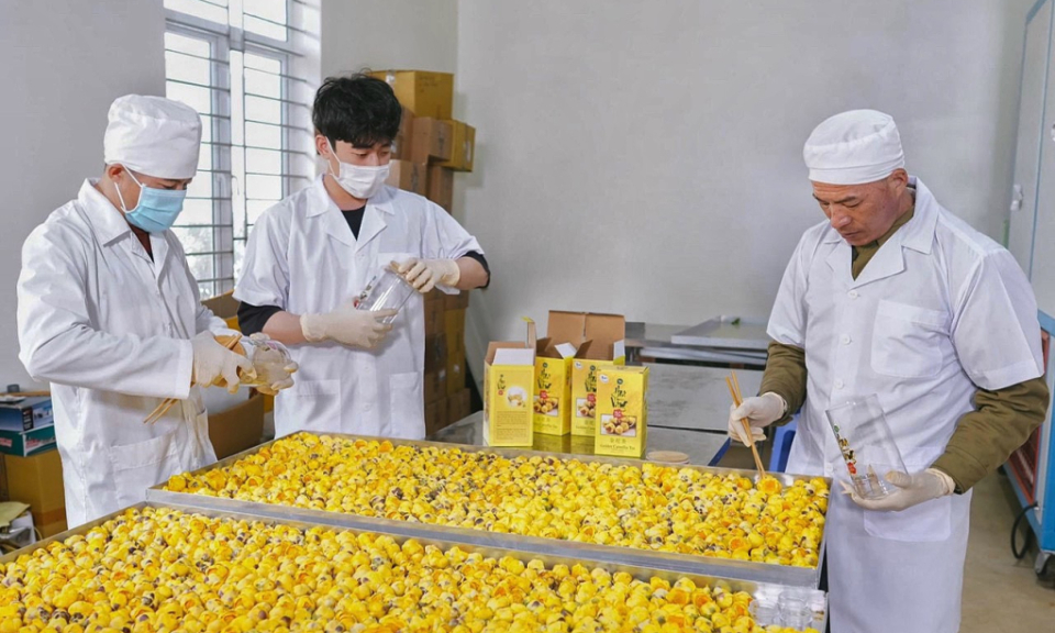 Khẳng định thương hiệu sản phẩm OCOP