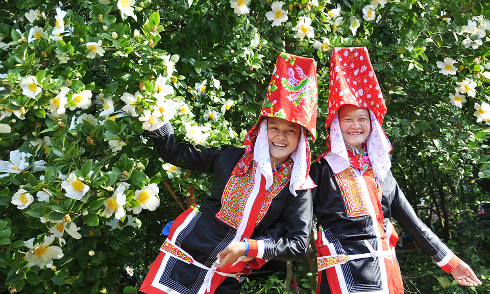 So Flower Festival to kick off in Binh Lieu on December 15