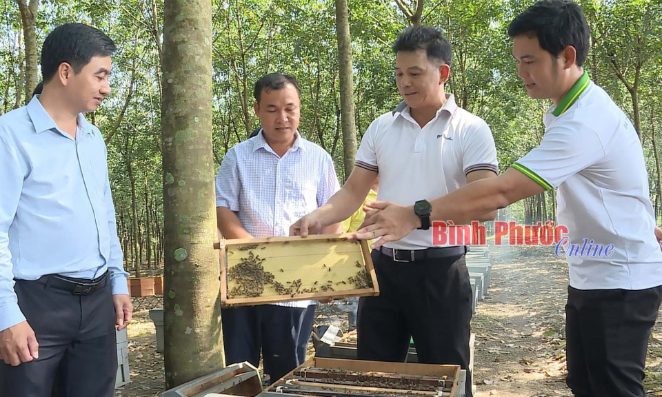 'Bắt tay' đưa nông sản lên sàn