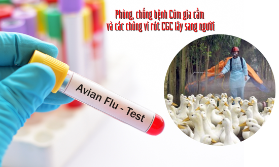 Cảm cúm thường kéo dài bao lâu?