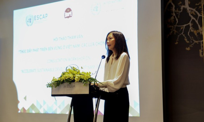 Viet Nam makes great strides in improving living standards: UN Resident Coordinator