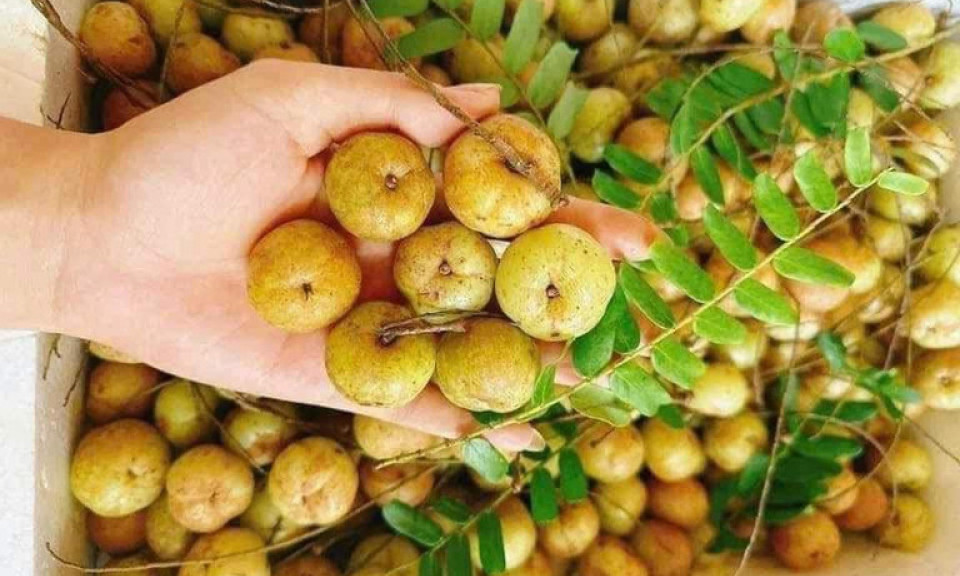 Mắc kham gây sốt ‘chợ mạng’, giá bán đắt gấp đôi
