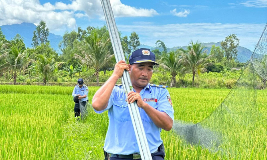 Chim yến bị truy sát khốc liệt, Khánh Hòa phải lập đội liên ngành bảo vệ