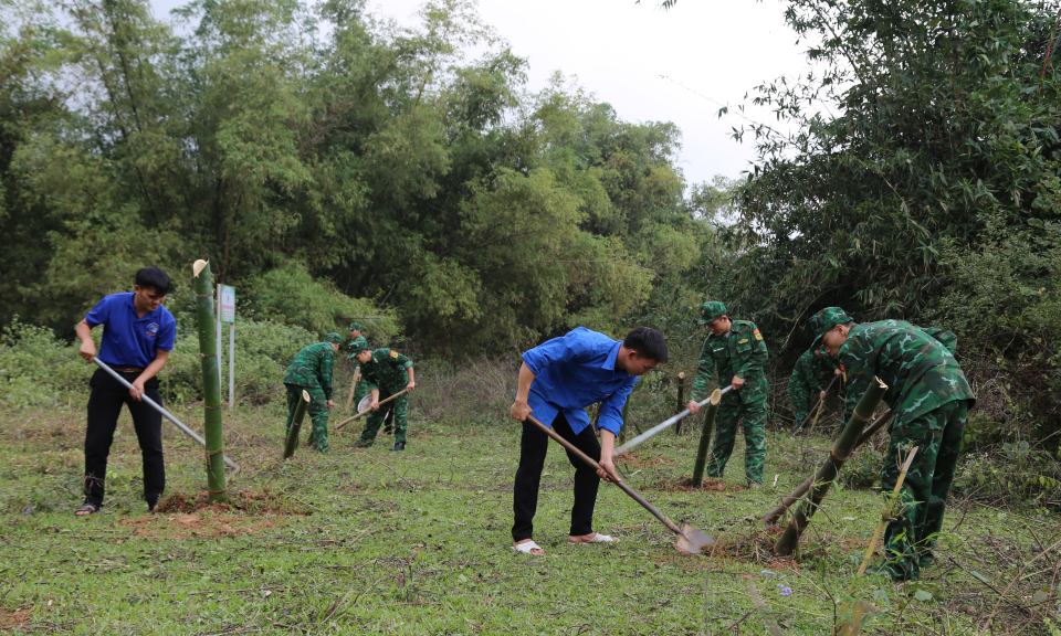 “Lũy tre biên thùy” của Quảng Ninh