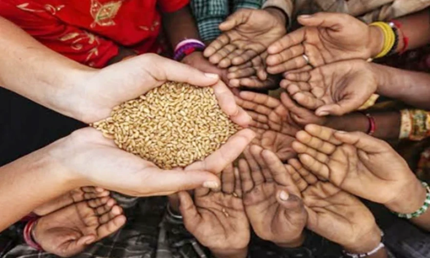 Roadmap to ensure sustainable food security