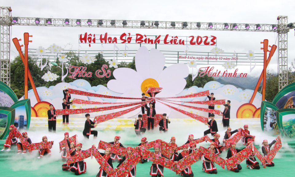 So Flower Festival opened in Binh Lieu