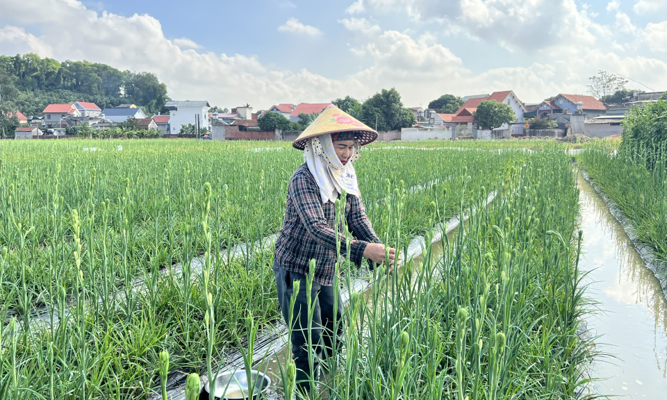 Đông Triều thực hiện thành công chủ đề công tác năm