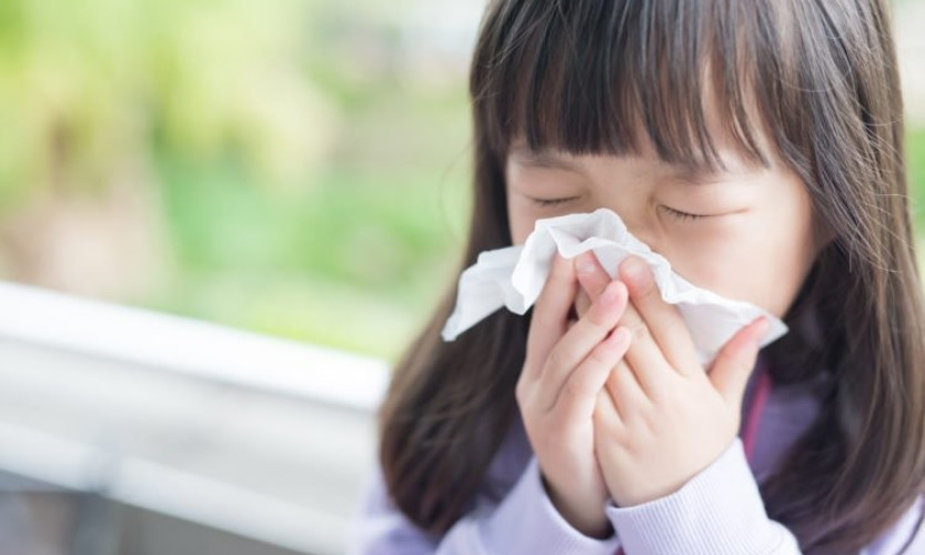 Đề phòng các dịch bệnh mùa đông xuân