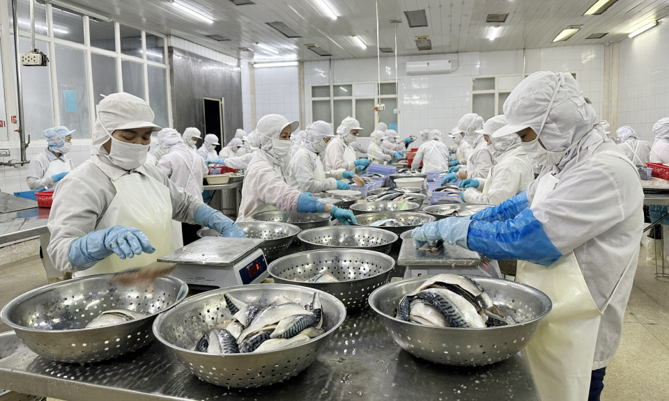 Doanh nghiệp vào guồng sản xuất