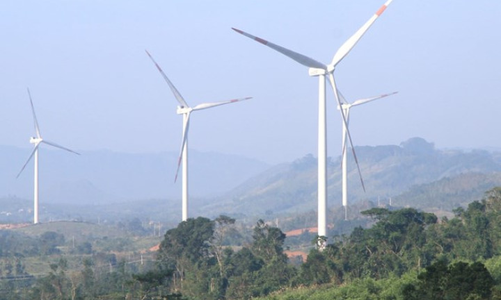 Chưa rõ xử lý hành chính hay hình sự vụ làm điện gió trên đất rừng phòng hộ