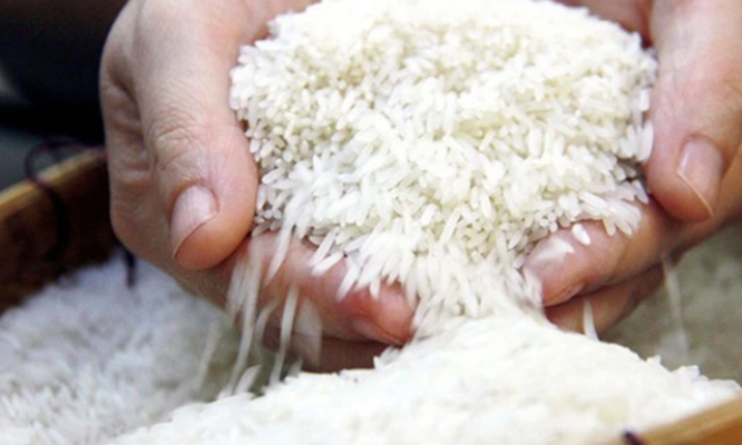 Giá gạo Việt Nam cao nhất trong vòng hơn 15 năm