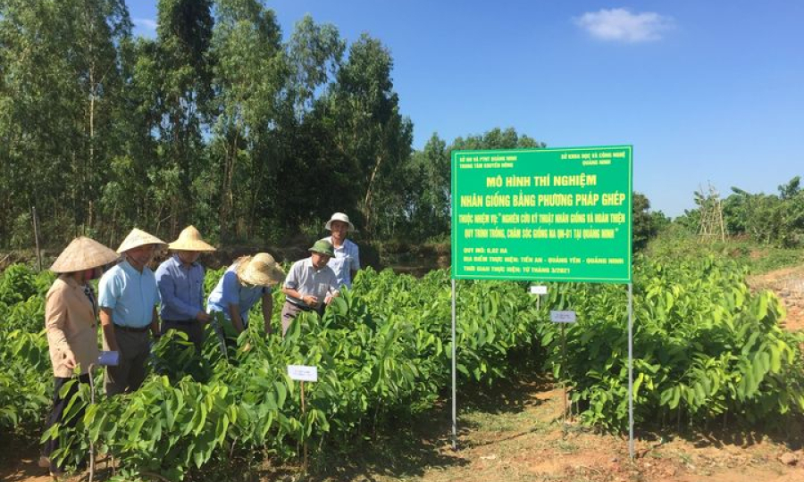 Nhân rộng các mô hình khuyến nông hiệu quả