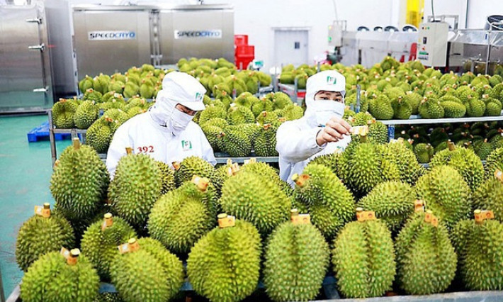 Bức tranh kinh tế Việt Nam năm 2023: Nhiều gam màu sáng