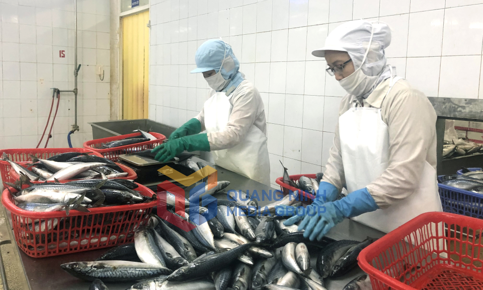 Công ty CP Xuất nhập khẩu thủy sản Quảng Ninh