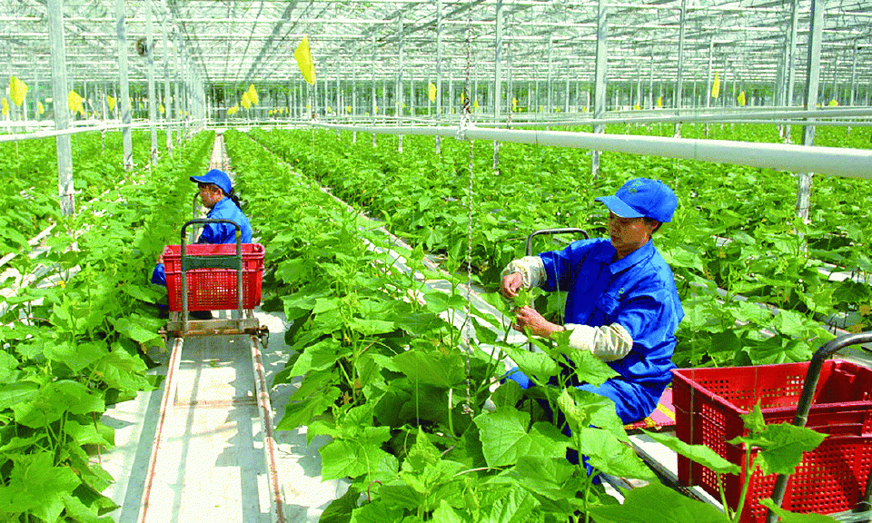 Dù khó khăn, doanh nghiệp vẫn ghi kỷ lục mới trong thành lập và trở lại thị trường