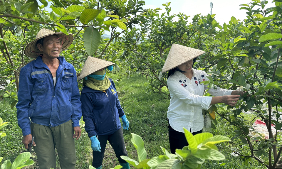 Hạ Long: Thúc đẩy phát triển kinh tế - xã hội các xã vùng cao