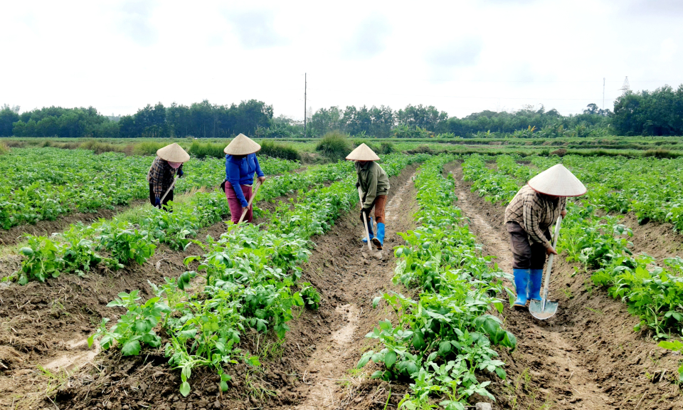 Hoạt động Hội Nông dân và những dấu ấn năm 2023