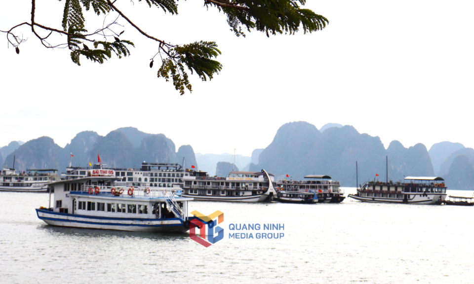 Vịnh Hạ Long nhộn nhịp kỳ nghỉ lễ