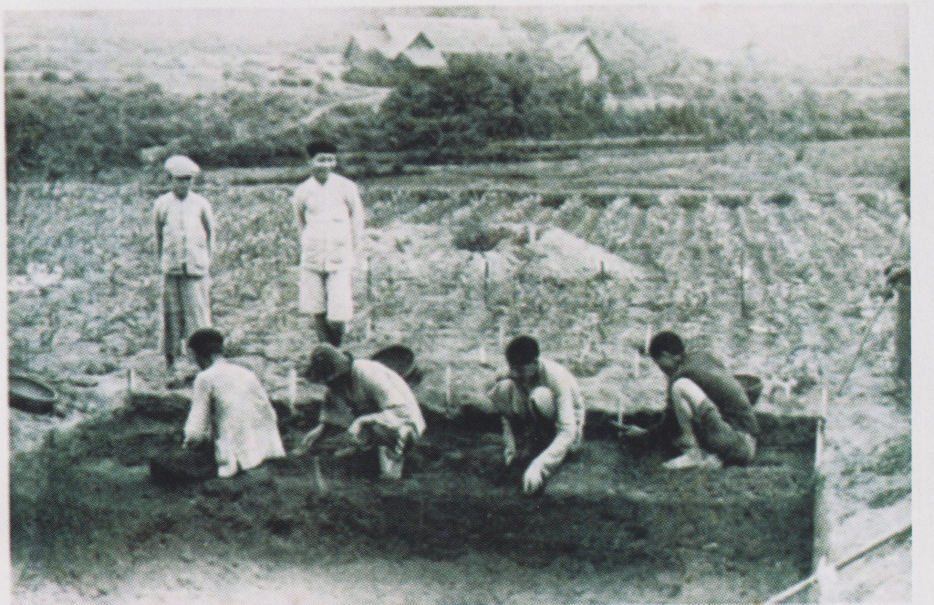 Di chỉ Đồng Mang (phường Giếng Đáy) khai quật năm 1938.