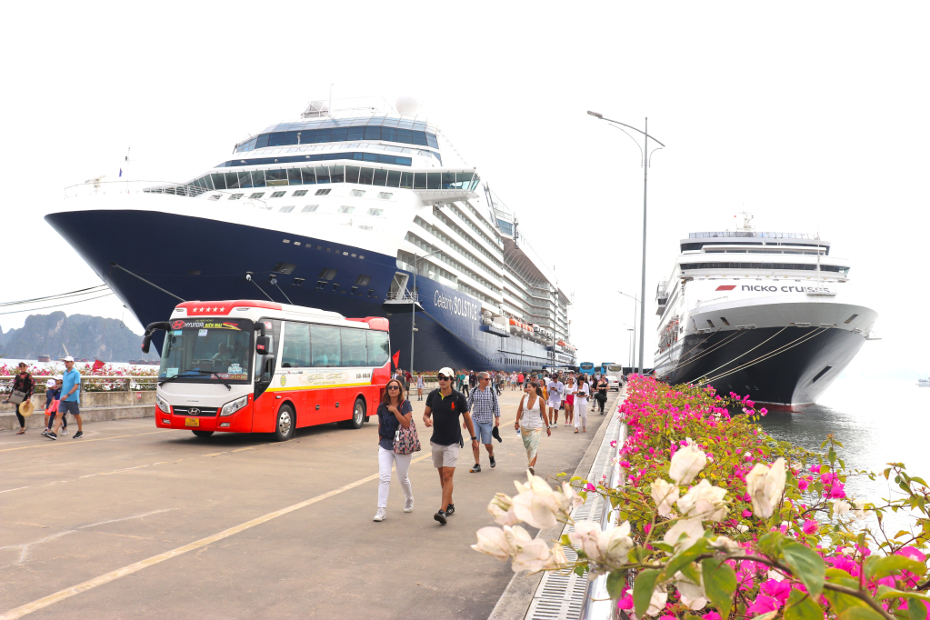 Khách du lịch tàu biển di chuyển từ Cảng tàu khách quốc tế Hạ Long để đi tham quan, khám phá thành phố. 