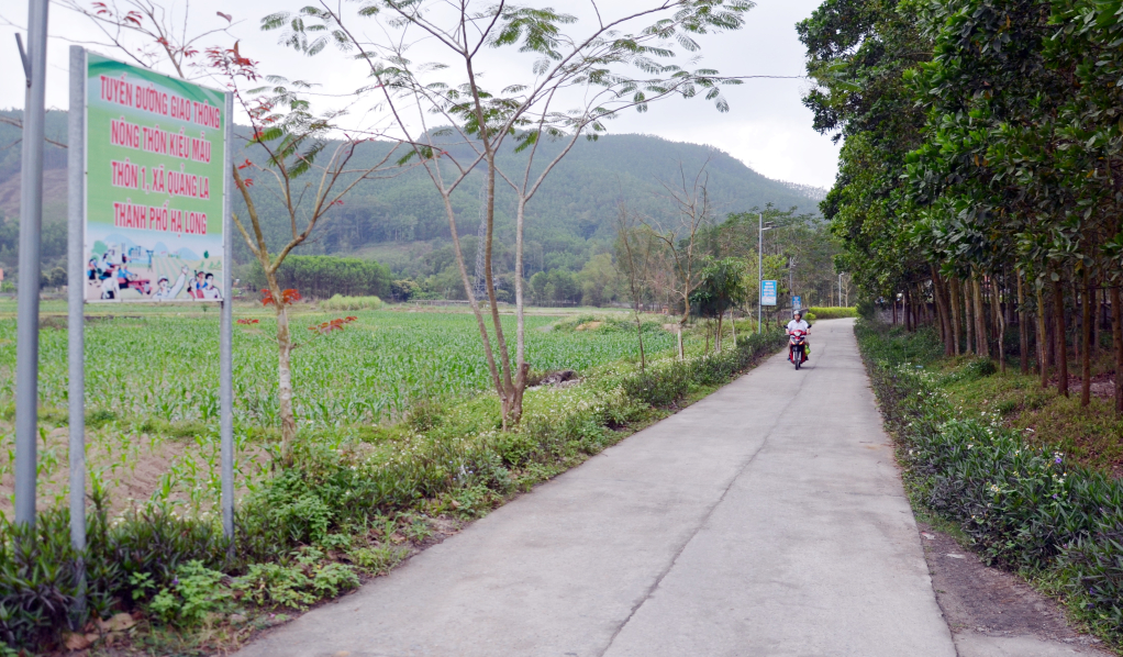 Tuyến đường nông thôn kiểu mẫu do CCB đóng góp xây dựng và quản lý tại thôn 1, xã Quảng La, TP Hạ Long