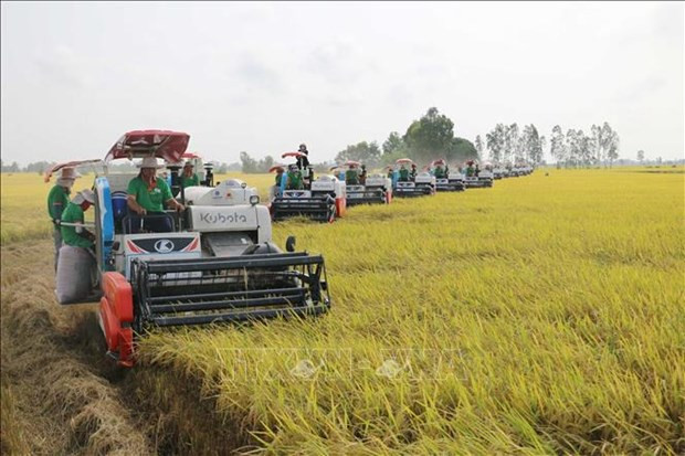 Agriculture sector sets new records amid global challenges hinh anh 1