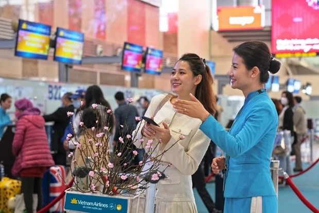 Vietnam Airlines transports apricot, peach blossoms for Tet hinh anh 1