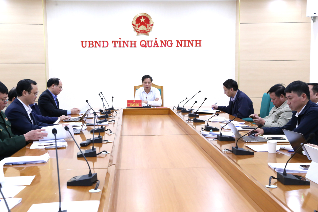 Đồng chí Vũ Văn Diện, Phó Chủ tịch UBND tỉnh phát biểu chỉ đạo tại cuộc họp