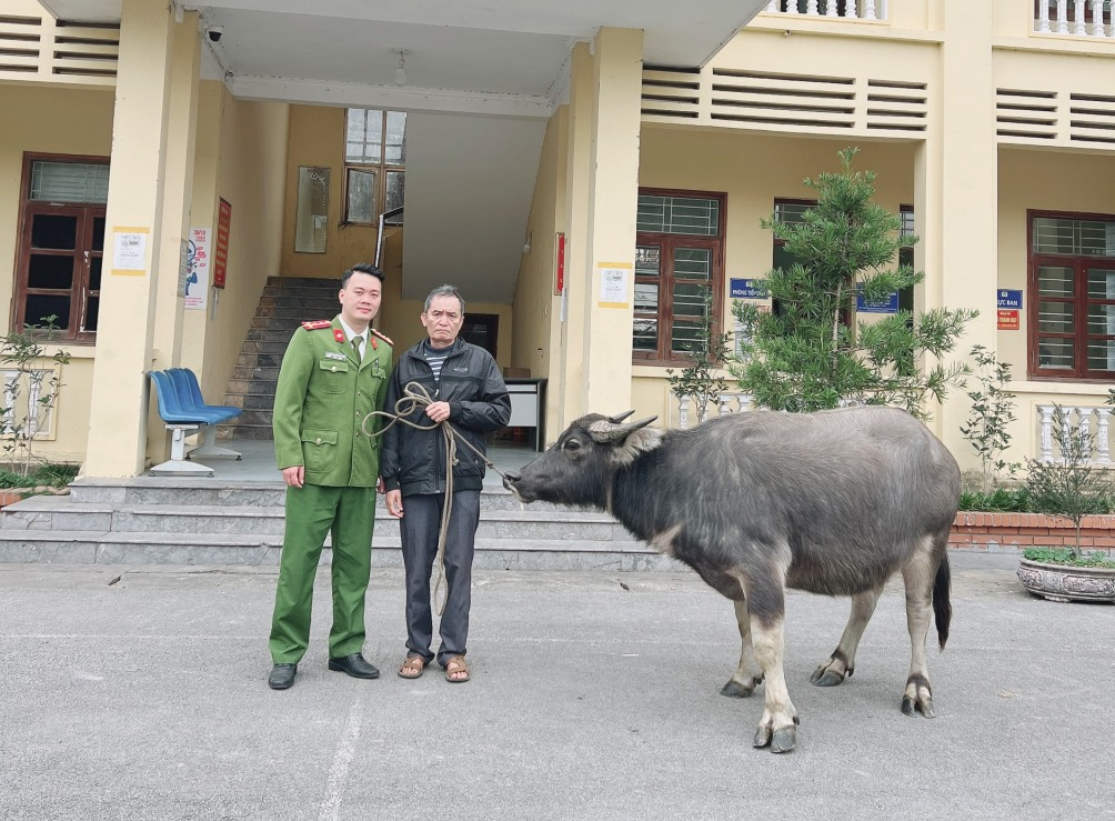 Công an huyện Hải Hà trao trả con trâu cho ông