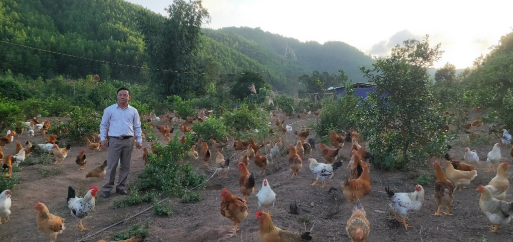 Ông Lý Văn Diểng thăm một trại nuôi gà do đơn vị cũng ứng giống. Ảnh tư liệu